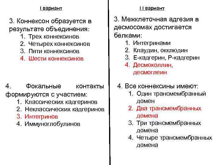 I вариант 3. Коннексон образуется в результате объединения: 1. 2. 3. 4. Трех коннексинов