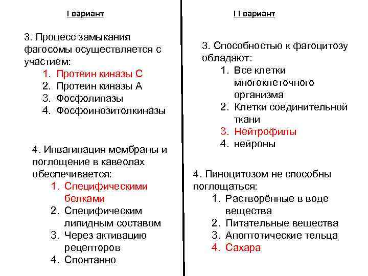 I вариант 3. Процесс замыкания фагосомы осуществляется с участием: 1. Протеин киназы С 2.