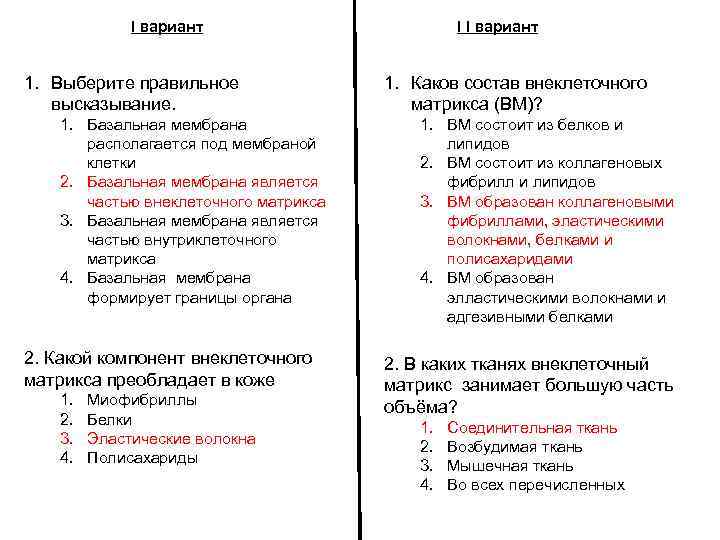I вариант 1. Выберите правильное высказывание. 1. Базальная мембрана располагается под мембраной клетки 2.
