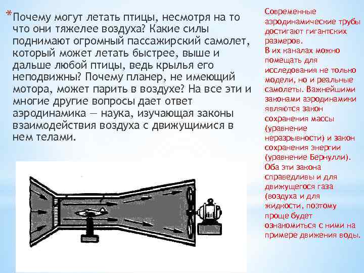 *Почему могут летать птицы, несмотря на то что они тяжелее воздуха? Какие силы поднимают