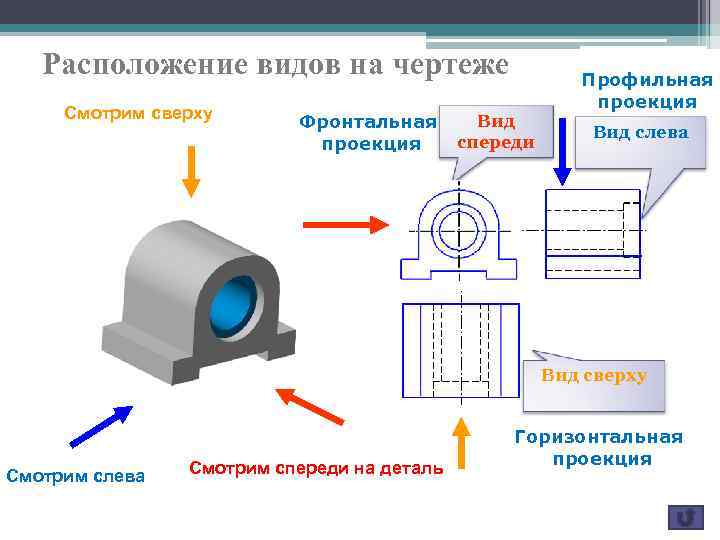 Располагают виды