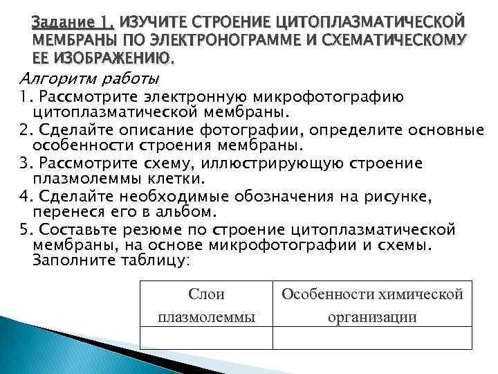 Задание 1. ИЗУЧИТЕ СТРОЕНИЕ ЦИТОПЛАЗМАТИЧЕСКОЙ МЕМБРАНЫ ПО ЭЛЕКТРОНОГРАММЕ И СХЕМАТИЧЕСКОМУ ЕЕ ИЗОБРАЖЕНИЮ. Алгоритм работы