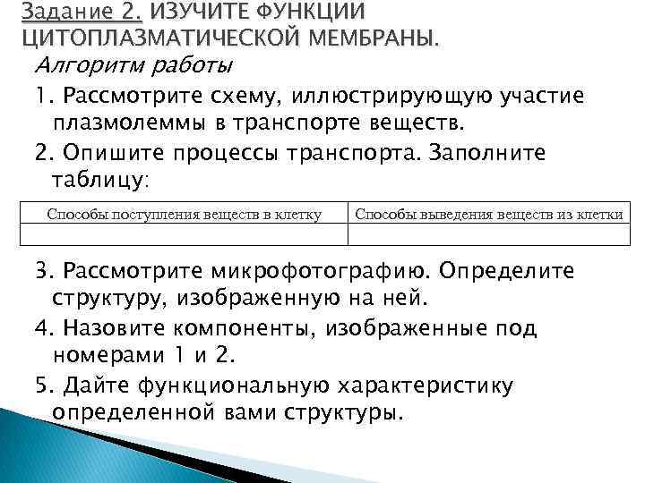 Задание 2. ИЗУЧИТЕ ФУНКЦИИ ЦИТОПЛАЗМАТИЧЕСКОЙ МЕМБРАНЫ. Алгоритм работы 1. Рассмотрите схему, иллюстрирующую участие плазмолеммы