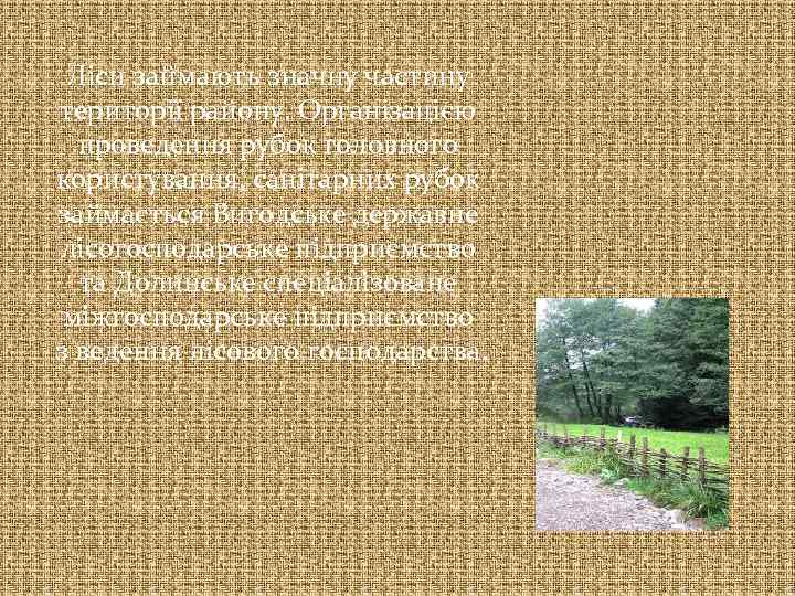 Ліси займають значну частину території району. Організацією проведення рубок головного користування, санітарних рубок займається