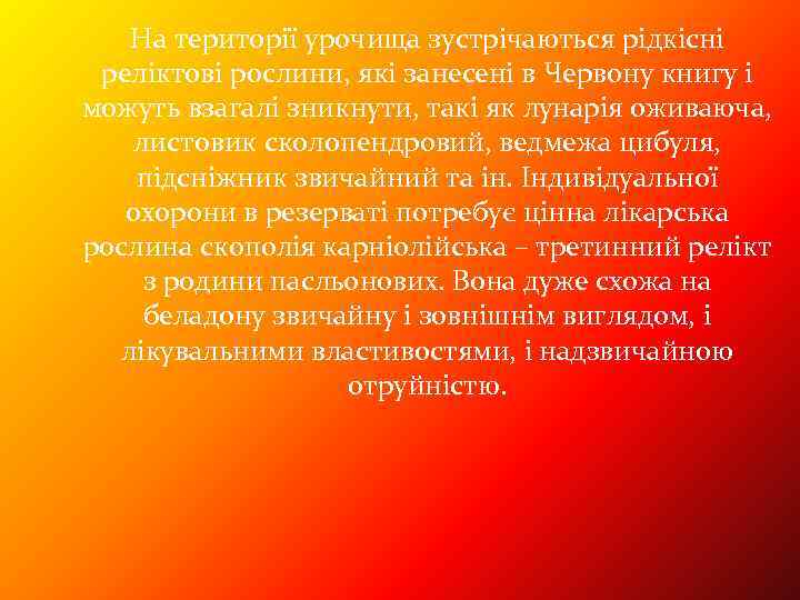 На території урочища зустрічаються рідкісні реліктові рослини, які занесені в Червону книгу і можуть