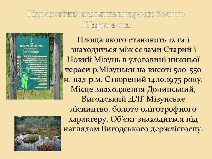Гідрологічна пам'ятка природи болото «Ширковець» Площа якого становить 12 га і знаходиться між селами