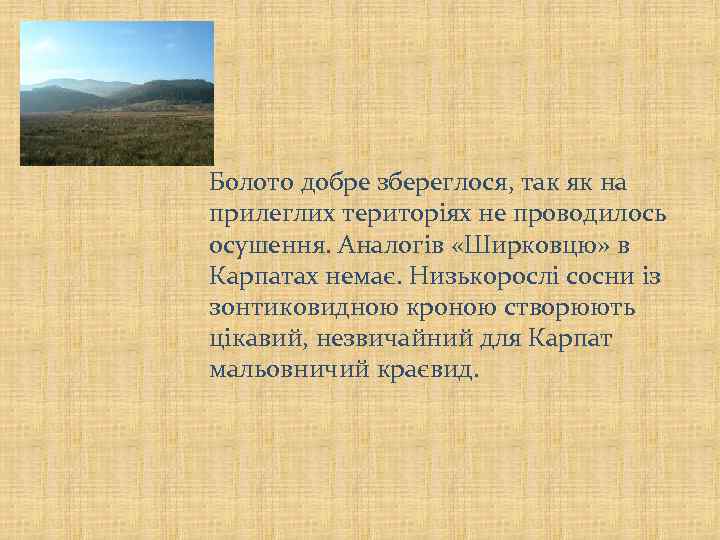 Болото добре збереглося, так як на прилеглих територіях не проводилось осушення. Аналогів «Ширковцю» в