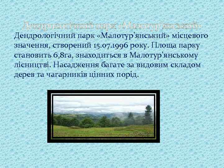 Дендрологічний парк «Малотур’янський» Дендрологічний парк «Малотур'янський» місцевого значення, створений 15. 07. 1996 року. Площа