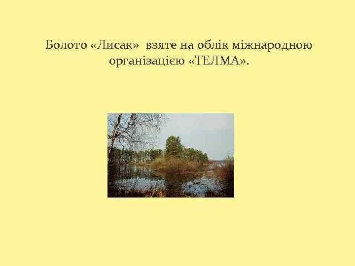 Болото «Лисак» взяте на облік міжнародною організацією «ТЕЛМА» . 