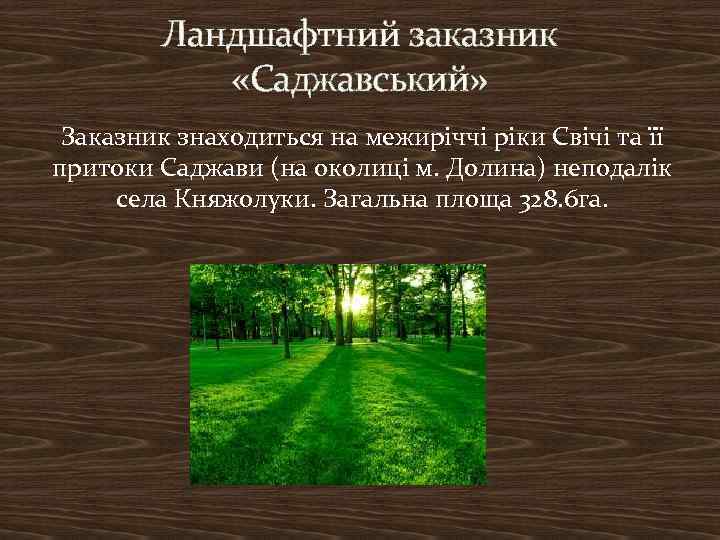 Ландшафтний заказник «Саджавський» Заказник знаходиться на межиріччі ріки Свічі та її притоки Саджави (на