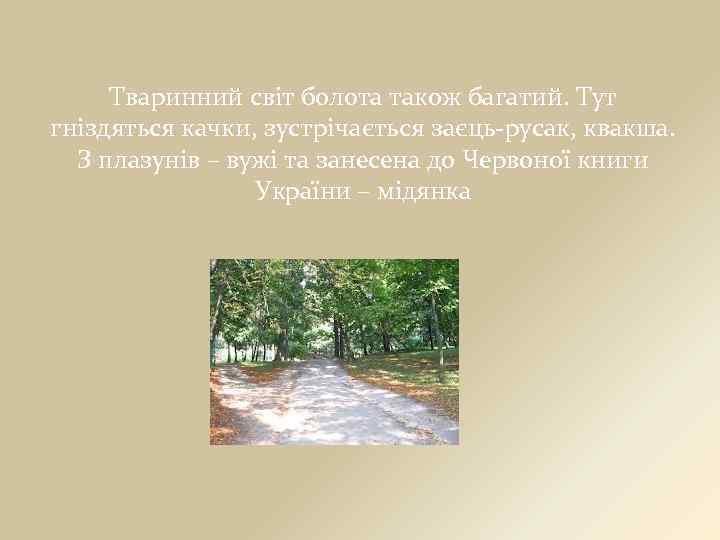 Тваринний світ болота також багатий. Тут гніздяться качки, зустрічається заєць-русак, квакша. З плазунів –