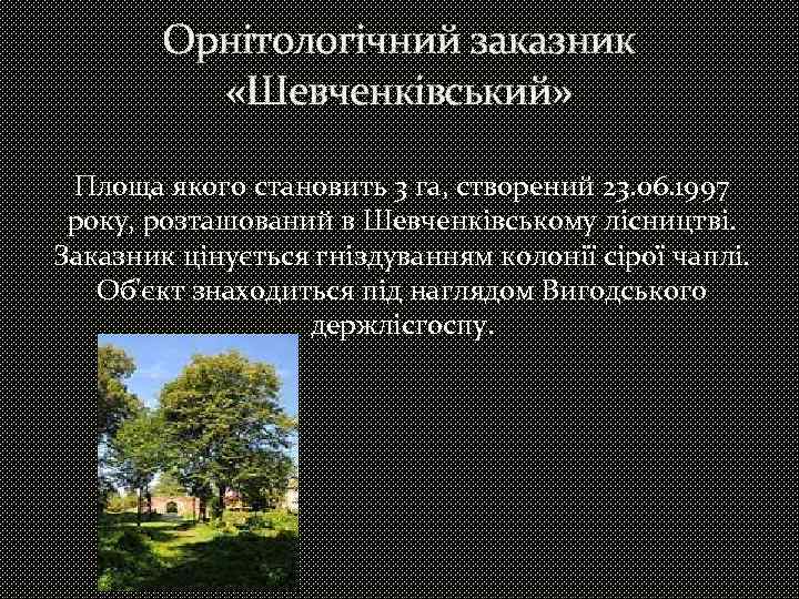 Орнітологічний заказник «Шевченківський» Площа якого становить 3 га, створений 23. 06. 1997 року, розташований