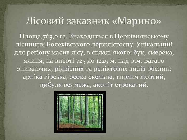 Лісовий заказник «Марино» Площа 763, 0 га. Знаходиться в Церківнянському лісництві Болехівського держлісгоспу. Унікальний