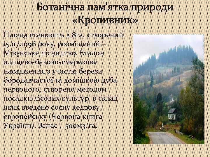 Ботанічна пам'ятка природи «Кропивник» Площа становить 2, 8 га, створений 15. 07. 1996 року,