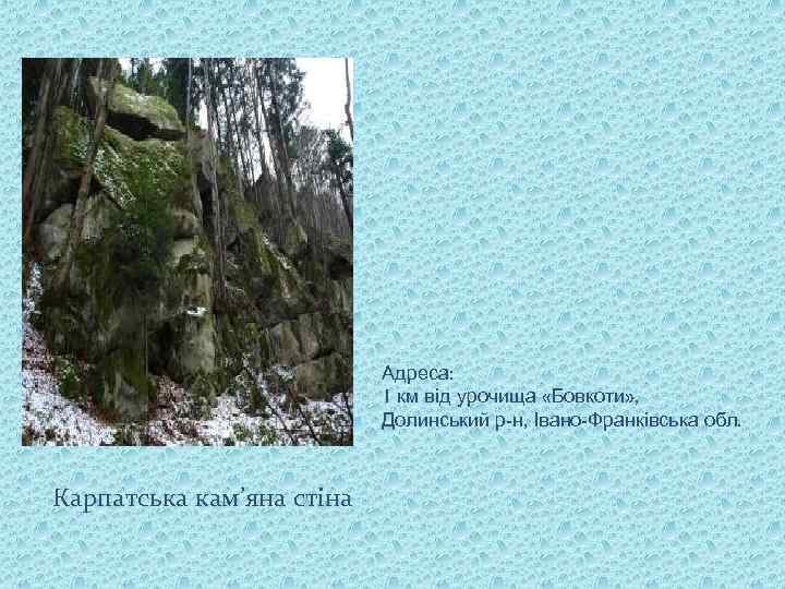 Адреса: 1 км від урочища «Бовкоти» , Долинський р-н, Івано-Франківська обл. Карпатська кам’яна стіна