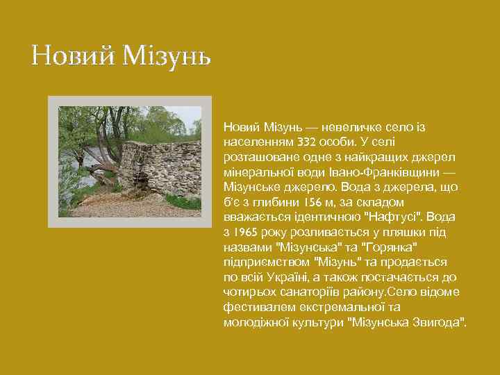 Новий Мізунь — невеличке село із населенням 332 особи. У селі розташоване одне з