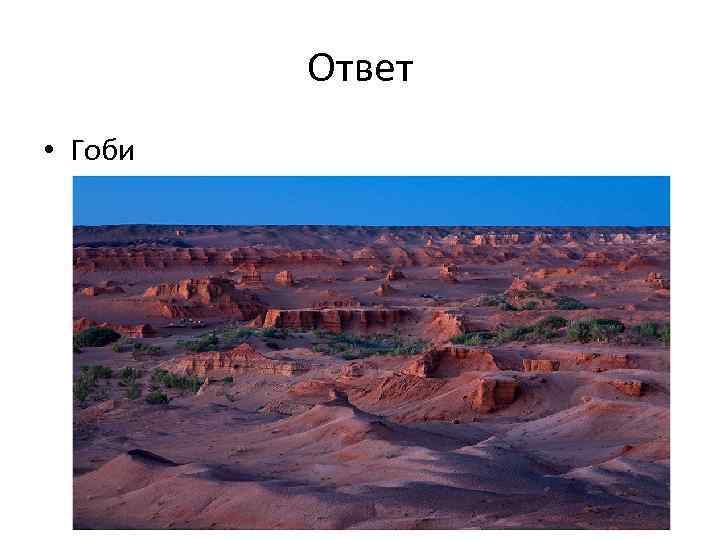 Ответ • Гоби 