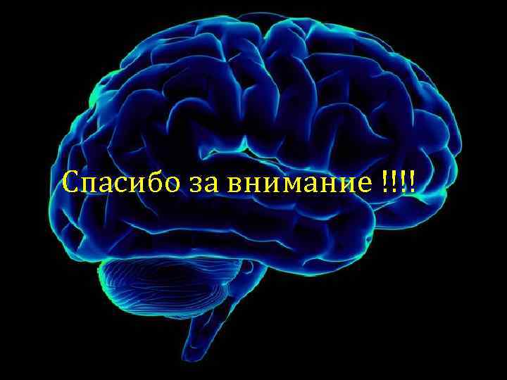 Спасибо за внимание !!!! 