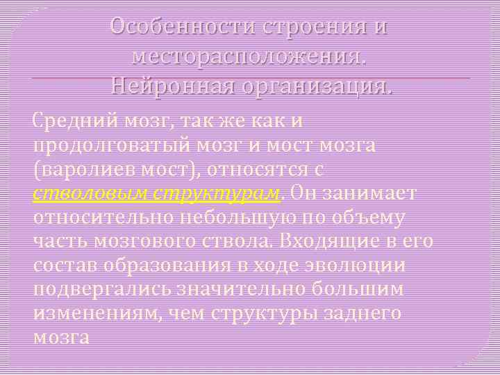 Особенности строения и месторасположения. Нейронная организация. Средний мозг, так же как и продолговатый мозг
