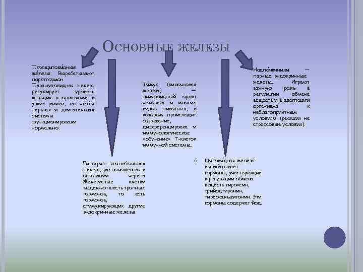 ОСНОВНЫЕ ЖЕЛЕЗЫ Паращитови дные же лезы Вырабатывают паратгормон Паращитовидная железа регулирует уровень кальция в