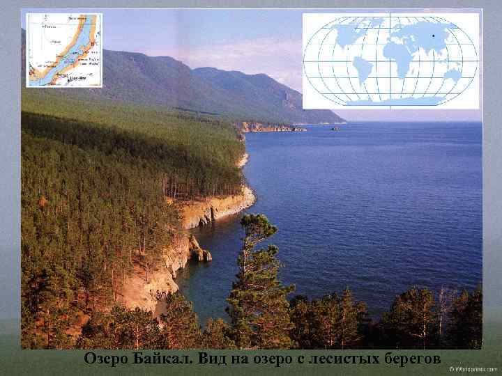 Озеро Байкал. Вид на озеро с лесистых берегов 