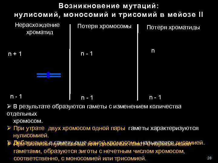 Возникновение мутаций: нулисомий, моносомий и трисомий в мейозе II Нерасхождение хроматид n+1 Потеря хромосомы