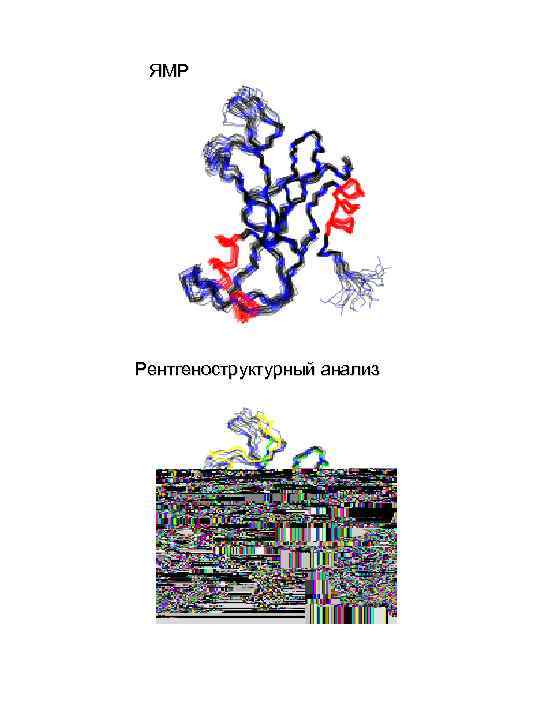 ЯМР Рентгеноструктурный анализ 