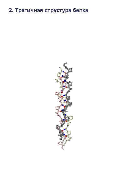 2. Третичная структура белка 