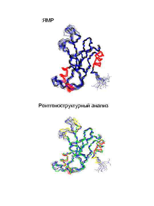 ЯМР Рентгеноструктурный анализ 