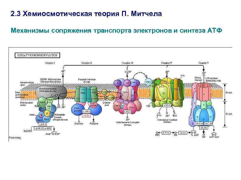 Синтез электронов