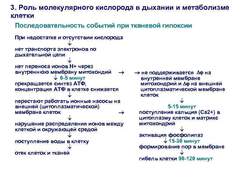 Клеточное дыхание последовательность процессов. Последовательность событий при метаболизме. Последовательность событий при метаболизме белков. Установите последовательность событий при метаболизме. Последовательность событий при метаболизме белков в организме.