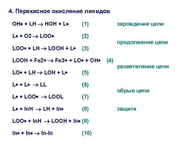 4. Перекисное окисление липидов OH + LH HOH + L (1) L + O