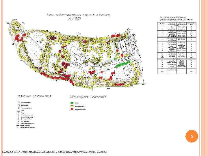 5 Киселёва С. Ю. Реконструкция планировки и озеленения территории парка г. Олонец 