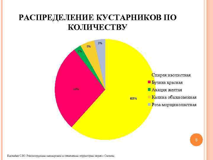 РАСПРЕДЕЛЕНИЕ КУСТАРНИКОВ ПО КОЛИЧЕСТВУ 5% 3% 2% Спирея иволистная Бузина красная Акация желтая 28%