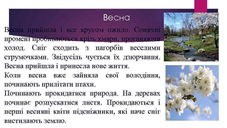 Весна прийшла і все кругом ожило. Сонячні промені пробиваються крізь хмари, проганяючи холод. Сніг