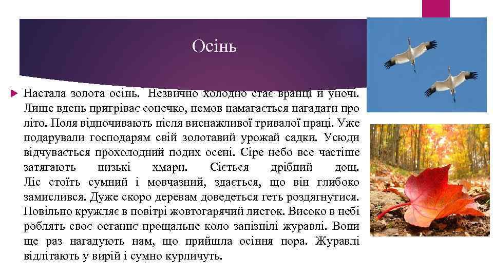 Осінь Настала золота осінь. Незвично холодно стає вранці й уночі. Лише вдень пригріває сонечко,