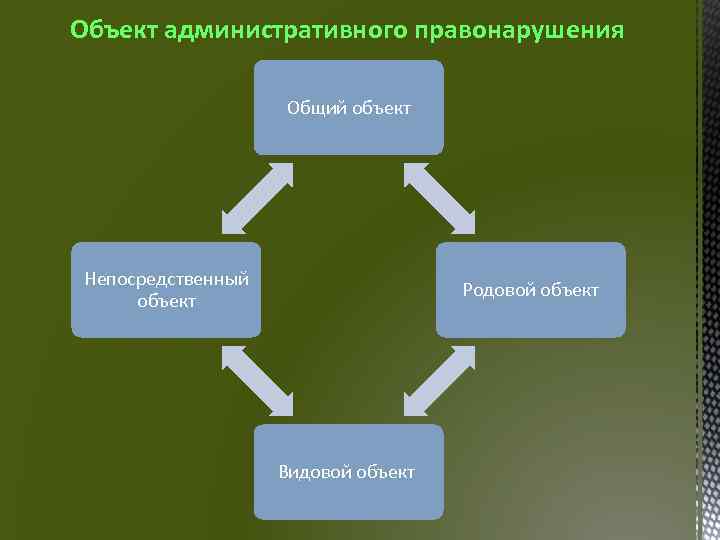 Объект административного правонарушения Общий объект Непосредственный объект Родовой объект Видовой объект 