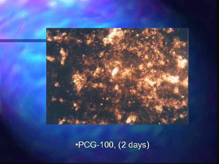  • PCG-100, (2 days) 