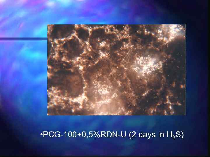  • PCG-100+0, 5%RDN-U (2 days in H 2 S) 