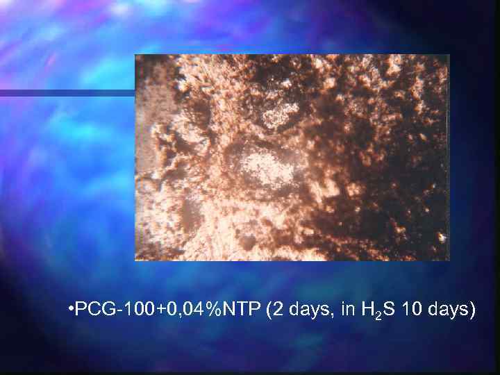  • PCG-100+0, 04%NTP (2 days, in Н 2 S 10 days) 