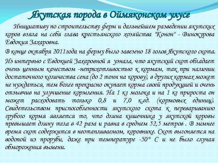 Якутская порода в Оймяконском улусе Инициативу по строительству ферм и дальнейшем разведении якутских коров