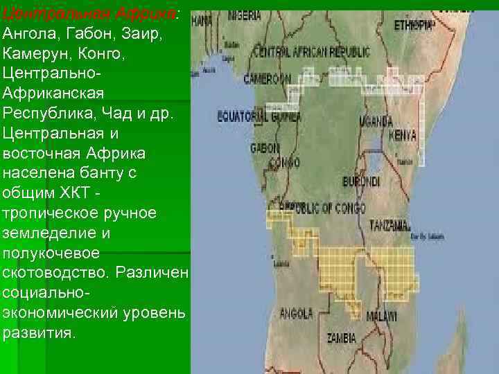 Центральная Африка: Ангола, Габон, Заир, Камерун, Конго, Центрально. Африканская Республика, Чад и др. Центральная