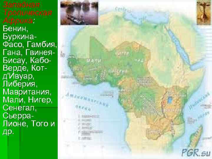 Западная Тропическая Африка: Бенин, Буркина. Фасо, Гамбия, Гана, Гвинея. Бисау, Кабо. Верде, Котд'Ивуар, Либерия,