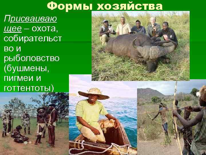 Формы хозяйства Присваиваю щее – охота, собирательст во и рыболовство (бушмены, пигмеи и готтентоты)