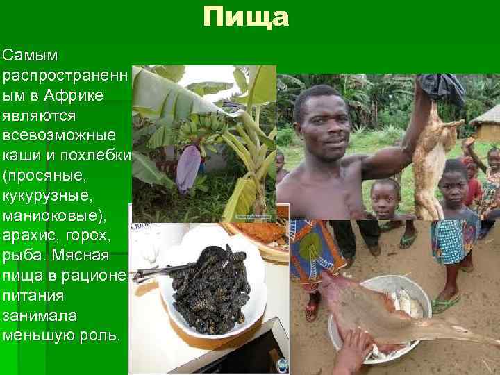 Пища Самым распространенн ым в Африке являются всевозможные каши и похлебки (просяные, кукурузные, маниоковые),