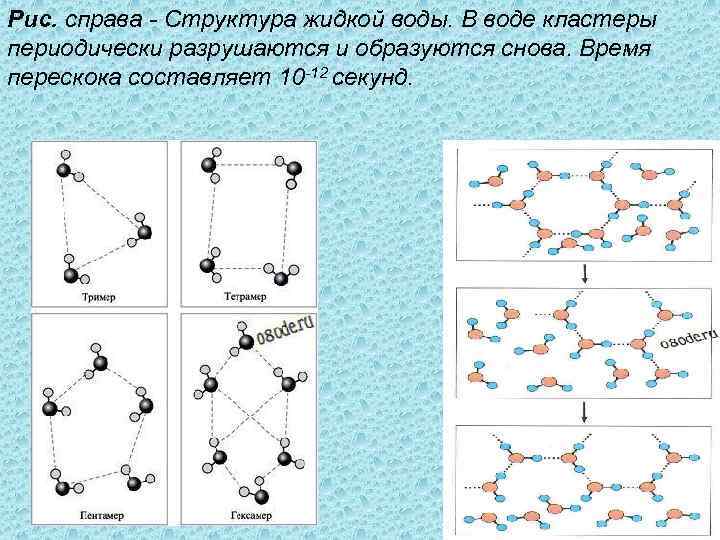 Рис. справа - Структура жидкой воды. В воде кластеры периодически разрушаются и образуются снова.