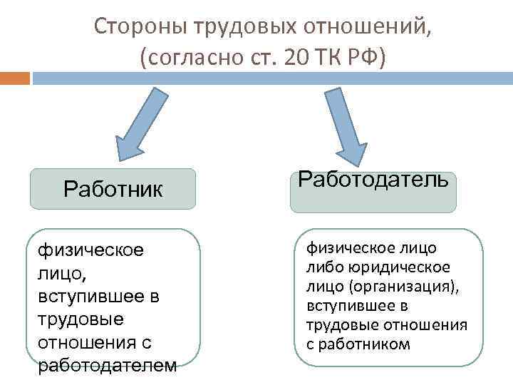 Стороны тк