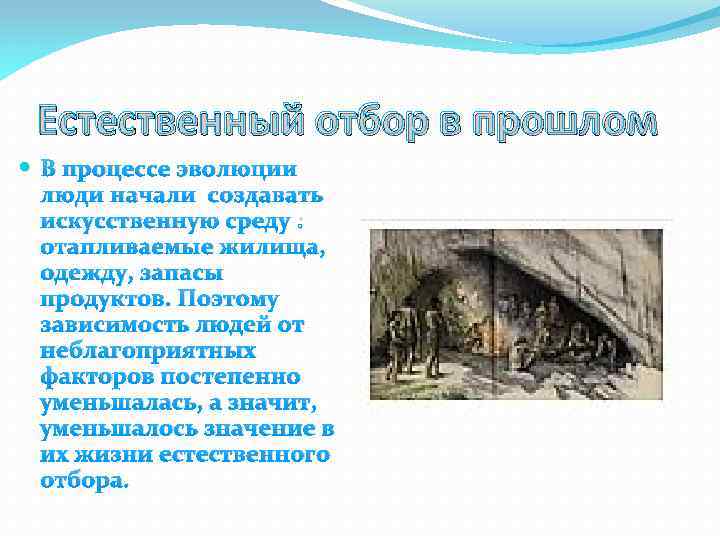 Естественный отбор в прошлом В процессе эволюции люди начали создавать искусственную среду : отапливаемые