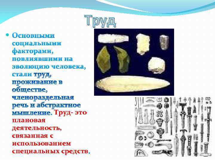 Труд Основными социальными факторами, повлиявшими на эволюцию человека, стали . Труд- это плановая деятельность,