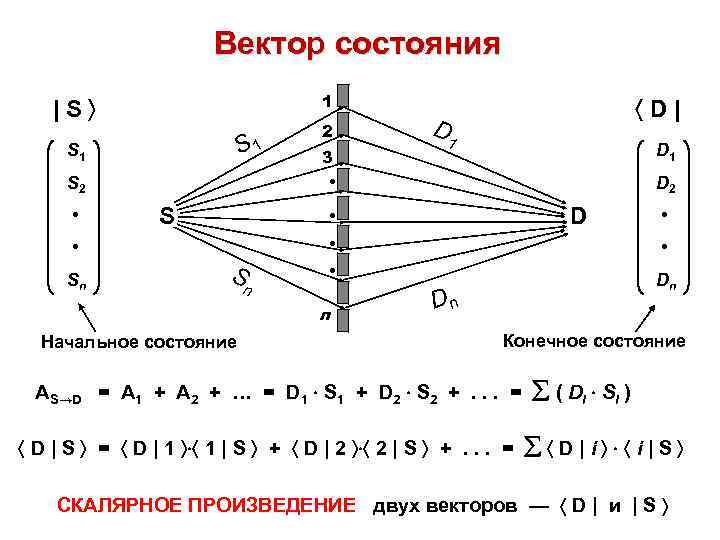 Вектор состояния 1 |S S 1 S 1 D 2 D • • •